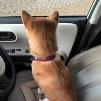 日の出〜おはようございます