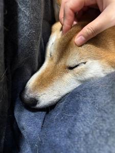 来年の予定を調整中でございます！！！