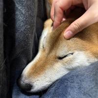 来年の予定を調整中でございます！！！