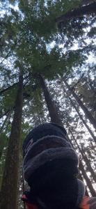 おはようございます