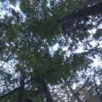 おはようございます