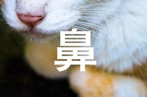 お礼日記スイッチャー鼻フェチさんへ…