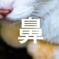 お礼日記スイッチャー鼻フェチさんへ…