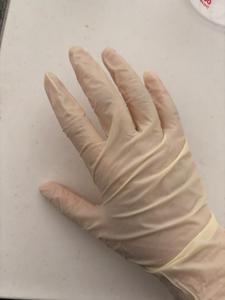 獲物を捌く時はラテックス手袋必須！