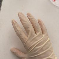 獲物を捌く時はラテックス手袋必須！