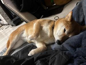 本日もありがとうございました