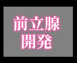 お礼日記貴方の前立腺、開発します