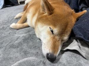 本日は満員御礼ありがとうございました(I\02\(*  * \三/ *  *)/(I\02