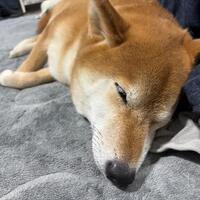 本日は満員御礼ありがとうございました(I\02\(*  * \三/ *  *)/(I\02