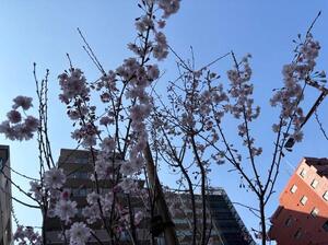 本日の出勤もありがとうございました