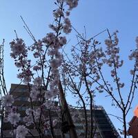 本日の出勤もありがとうございました