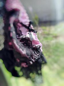 お礼日記作品もチェックしてくださってありがとうございます