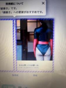 女戦闘員写真集のデータが吹っ飛びました