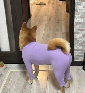 今日も一日お疲れ様でした