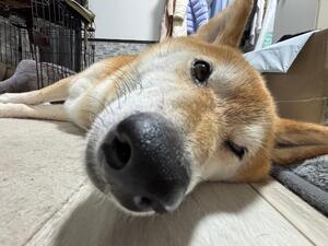 今日もありがとうございました
