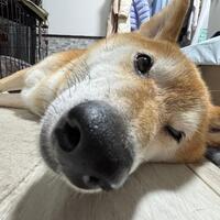 今日もありがとうございました