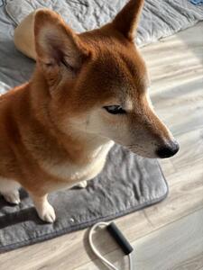 週末はどんな予定ですか？