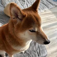 週末はどんな予定ですか？