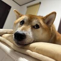 深夜の恐怖体験…