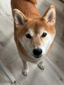 写真より実物派のあなたへ