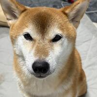 今日は満員御礼ありがとうございました