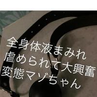 【お礼日記】「私の汚ナニーを見てオナニーしなさい」強気な女性に辱められるのが大好きな変態マゾちゃん