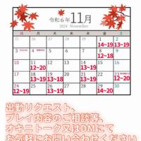 11月の出勤予定はこちら