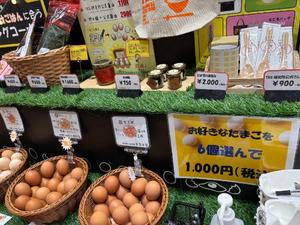 卵イベント〜