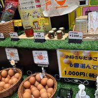 卵イベント〜