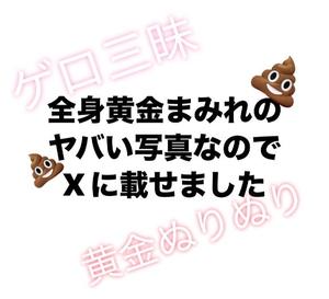 お礼日記ラッキーハプニング大量黄金とゲロ