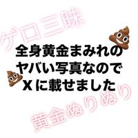 お礼日記ラッキーハプニング大量黄金とゲロ