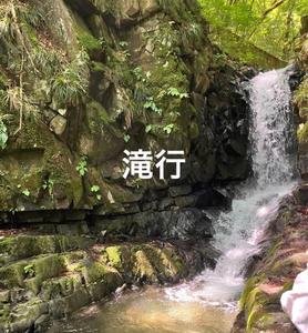 今年も滝行に行ってきます