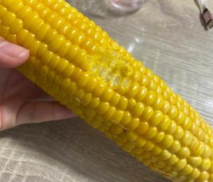 もろこしはむはむ