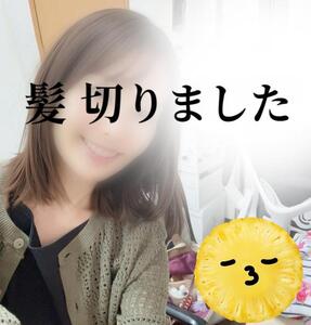 スケジュール