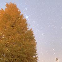 しゅっきんでーす