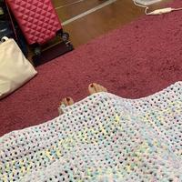 夏掛け