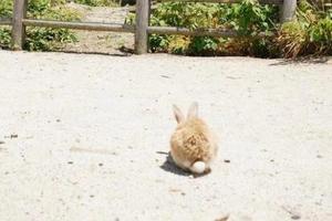 プレイ盛りだくさん