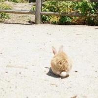 プレイ盛りだくさん