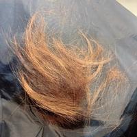 傷んだ髪の毛ポイポ〜イ