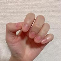 爪は短いのがお好き