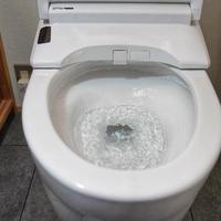 便器を、お掃除