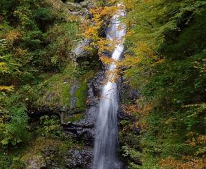 聖水で身体を清める。