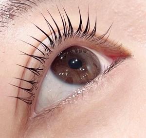 見つかった！！