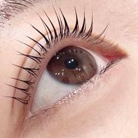 見つかった！！