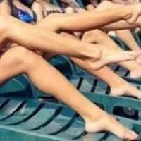 ふるぼっき〜に？