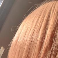 本日の変態御礼