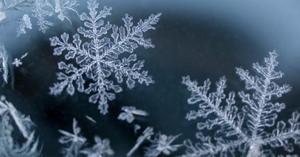 外に出たら、ふぁらっと