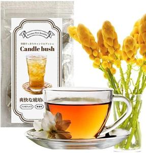 キャンドルブッシュが鳴いている