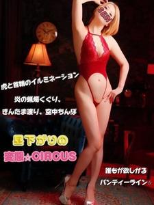 本日のデザイン