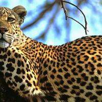 モヤモヤの彼方